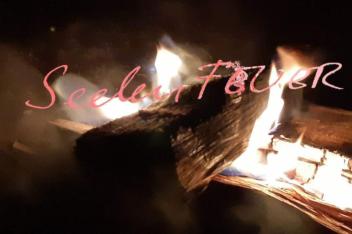 SeelenFEUER